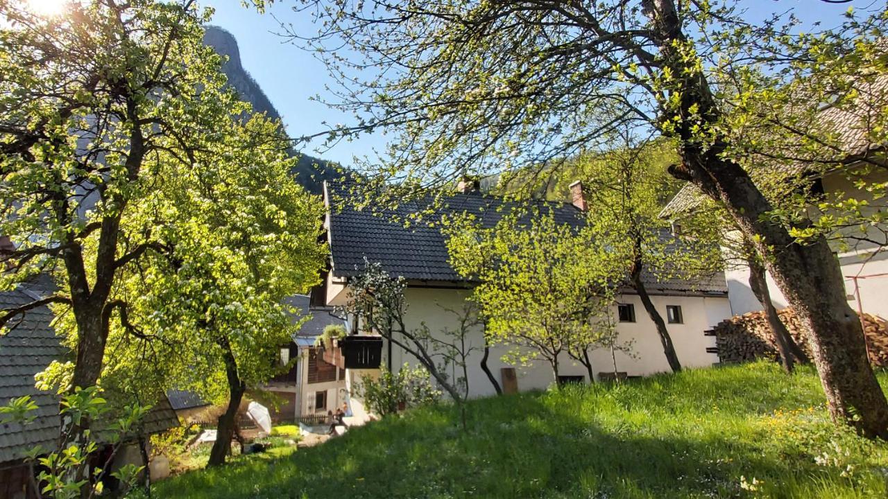 Apartmaji Pekovec Бохинь Экстерьер фото